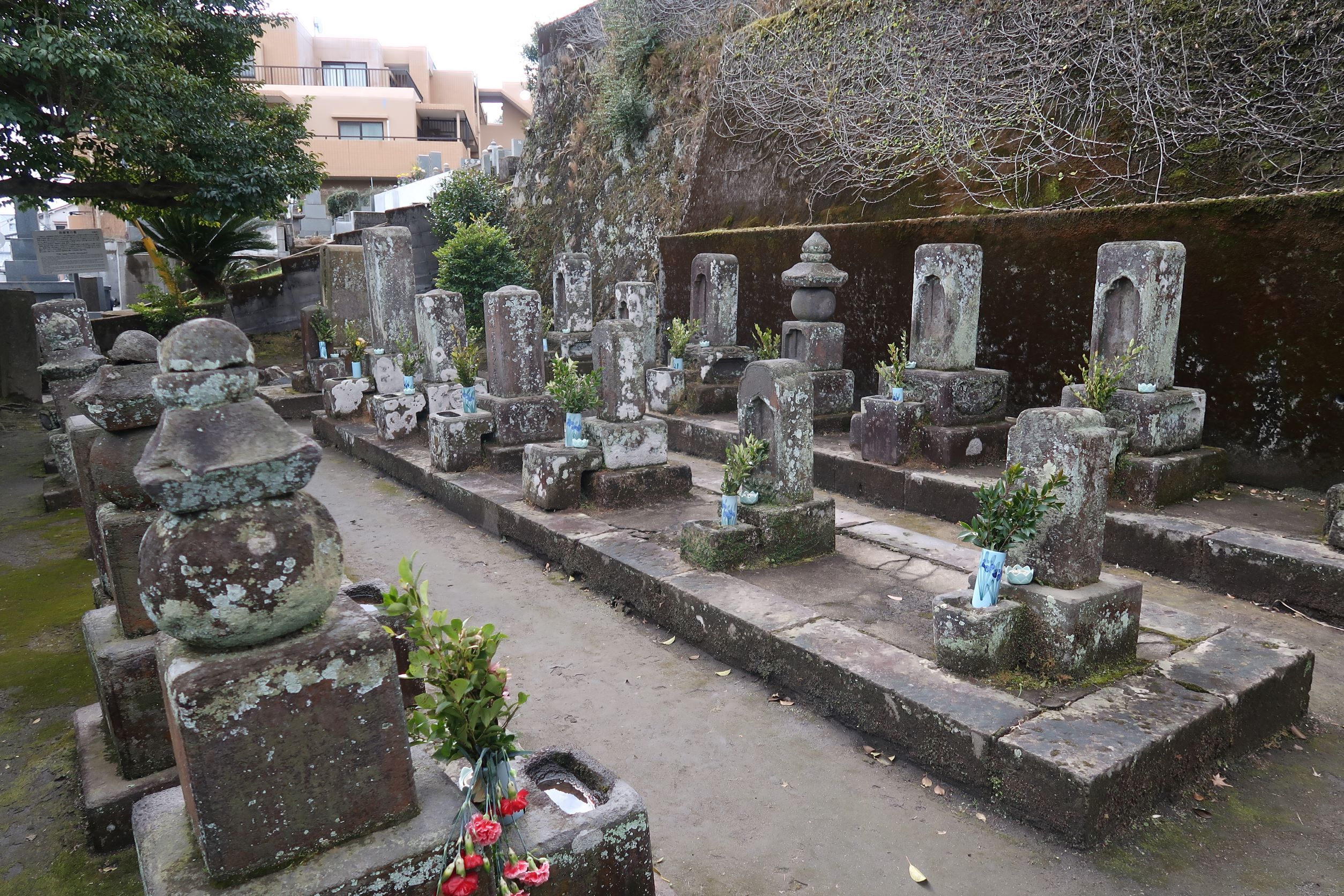 【西郷家の墓地】西郷隆盛の家族のお墓紹介 | カゴシマガジン