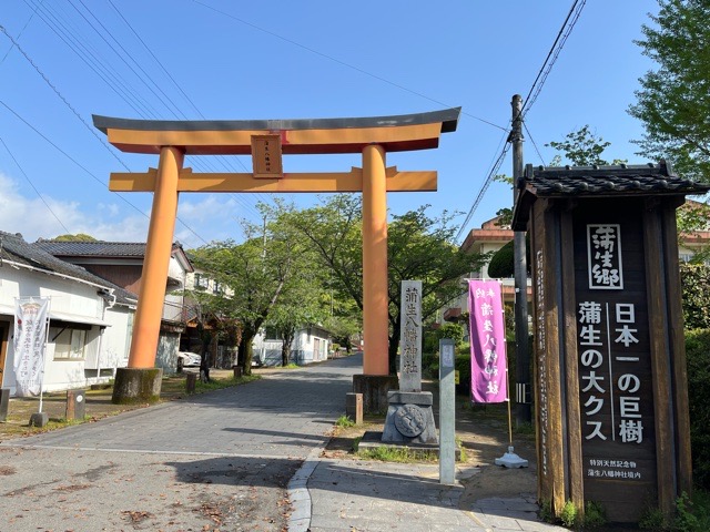 【姶良市蒲生町】日本一の巨樹「大クス」がある蒲生八幡神社