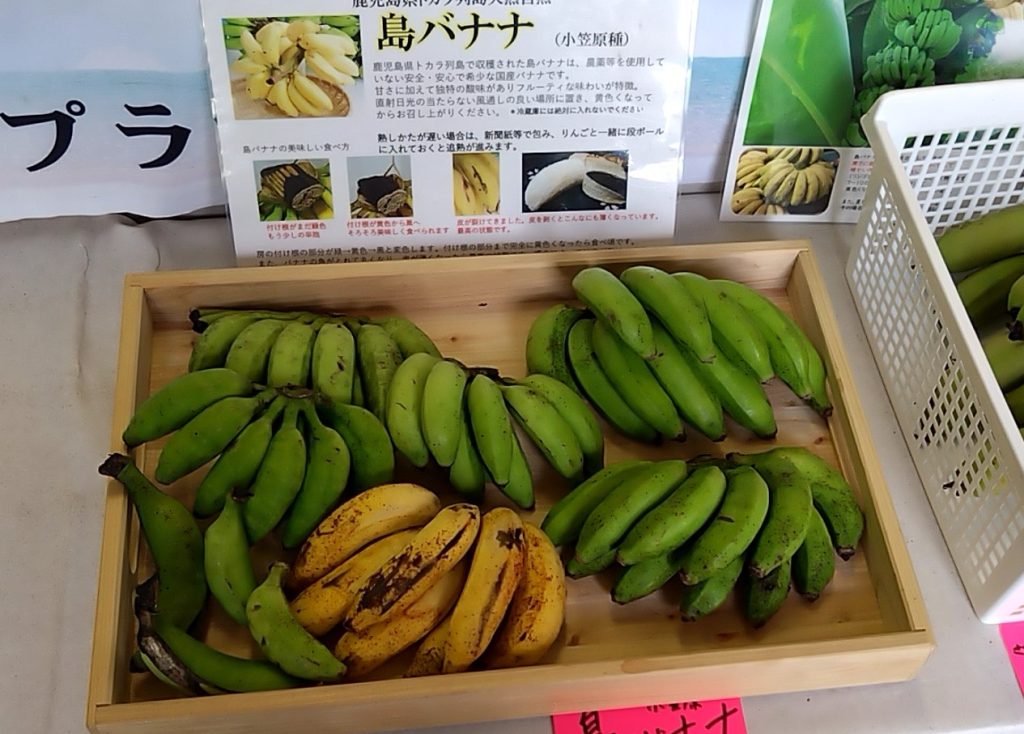 鹿児島市でトカラ気分を味わえる！おもしろ特産品販売所！ | カゴシ