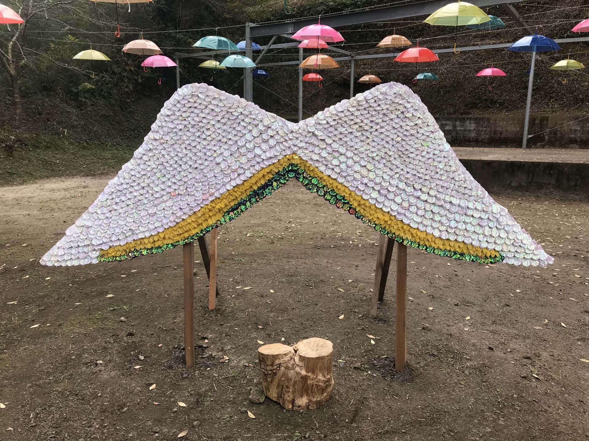 DEB458A4-005C-4A88-9147-