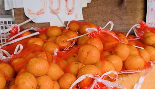 「福山町冬の風物詩🍊」