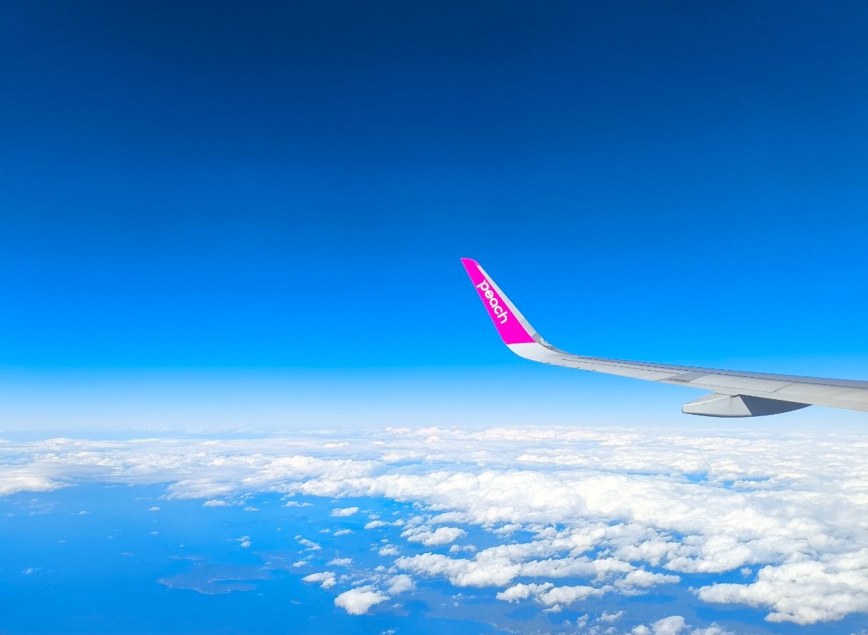 ピーチ様ご確認用 搭乗手続き（チェックイン）説明ページ | Peach Aviation