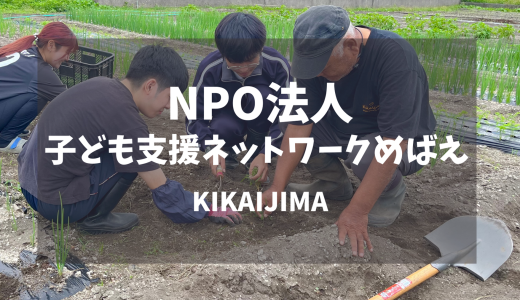 喜界島の恵みが大集結！めばえ農園の「野菜マルシェ」！大盛況！