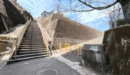 【鹿児島市西田】気になっていた長い階段を登る！眺めのいい公園でファミチキバーガーを味わう散策レポ