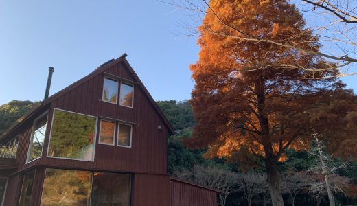 【いちき串木野市】森の中に佇む、非日常を味わえるカフェ「ワゼットスタイル」