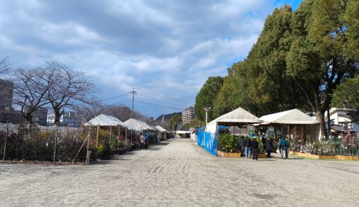 鹿児島の春の風物詩！「春の木市」でお花や果樹を楽しもう