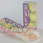 鹿児島銘菓「ボンタンアメ」が大バズリしてるの知ってる？SNSで注目を集める理由とは