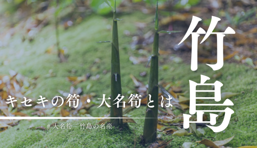 三島村のキセキの筍「大名筍」とは？竹島の大名筍が一年中食べられるようになったよ！