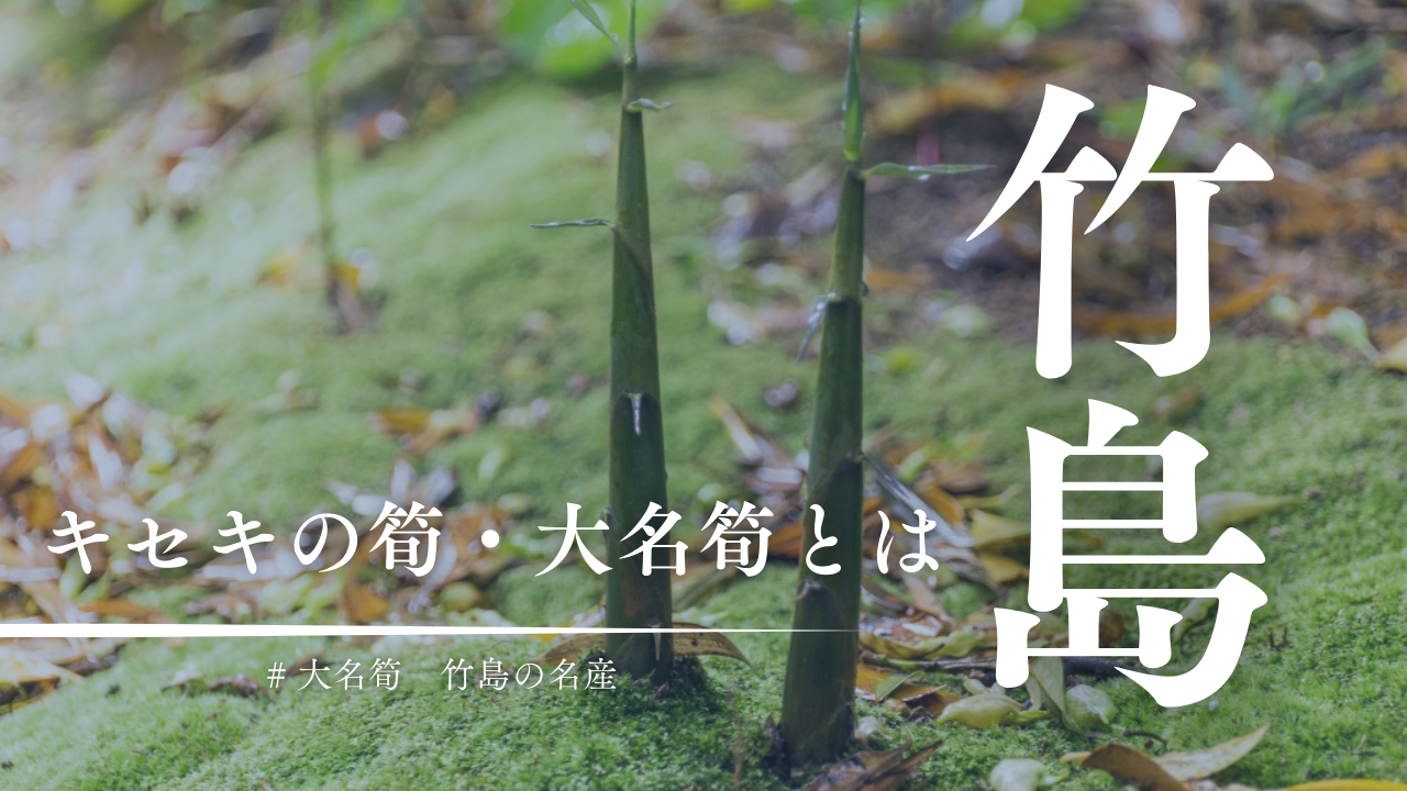 三島村のキセキの筍「大名筍」とは？竹島の大名筍が一年中食べられる