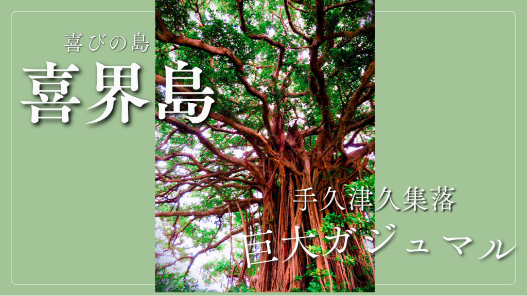 大謀略 吉留路樹著 喜界島 〜手久津久集落〜巨大ガジュマル | カゴシマガジン