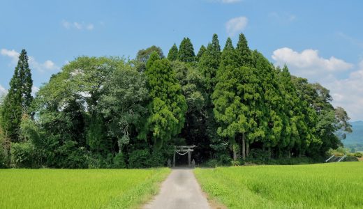 その佇まいに心を奪われる、箱崎神社