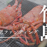 伊勢海老ファンディングってなに？三島村竹島に遊んで学べる公園を作る一大プロジェクト！