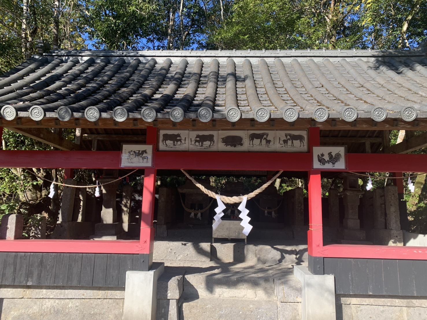 8月の豪雨で被災した前玉神社を未来へつなぐために | カゴシマガジン