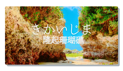 サンゴ礁が育む大地と暮らし