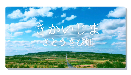 喜界島の主役 〜さとうきびがつくる島の景観と暮らし〜