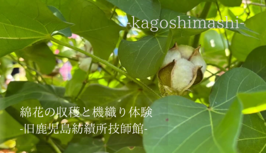 綿花の収穫と機織り体験　-旧鹿児島紡績所技師館-