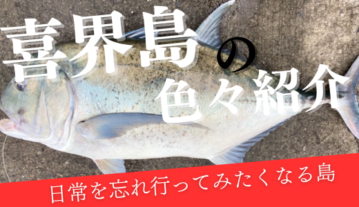 自分の手で“遊び”を見つける島 — 喜界島の暮らし