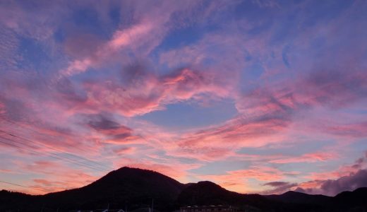 今年、鹿児島がロケ地の映画作品、結構多かったよね。