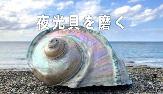 夜光貝を丸ごとピカピカに研磨したら海に映えました！磨き方のすすめ