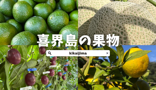 喜界島の果物 〜南の島が育む、豊かな恵み〜