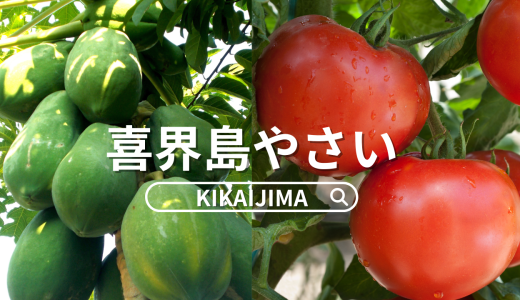 喜界島の旬を味わう。島やさいの魅力