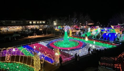 九州最大級100万球が輝く冬の絶景「曽木の滝イルミネーション」を今こそ見に行こう