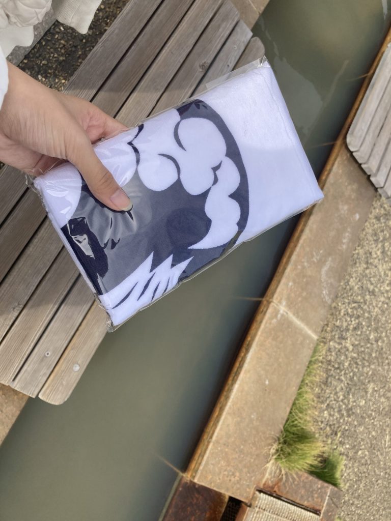 桜島ビジターセンターで購入したタオル