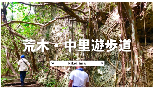 大地の記憶を歩く、喜界島の道