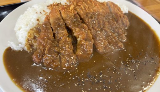 今日はカレーが食べたい！ in 霧島市