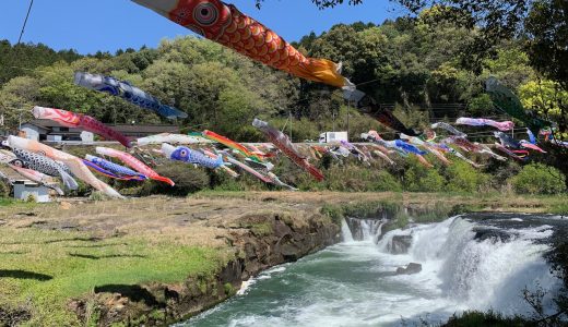 伊佐市・湯之尾滝の鯉のぼり2026！40年以上続く春の風物詩を見に行こう