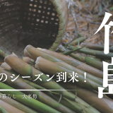 三島村竹島の大名筍のシーズン到来！実は冬の間から準備は始まってます