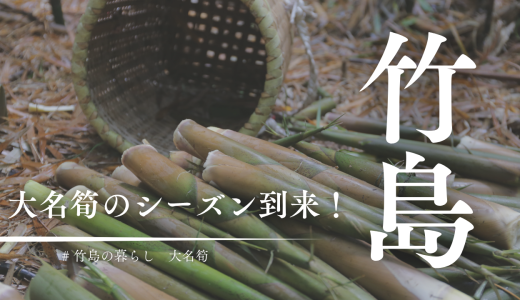三島村竹島の大名筍のシーズン到来！実は冬の間から準備は始まってます