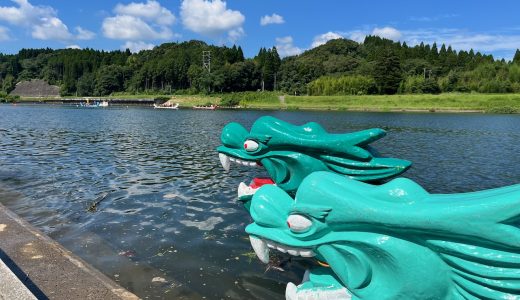 夏を彩る水上バトル！コミュニティ対抗ドラゴンボート大会で感じた地域の熱量