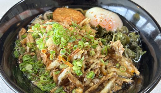 桜島フェリーで食べる一番高い蕎麦が一番旨い！
