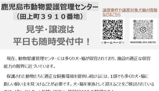 緊急開催「犬猫の臨時譲渡会」のお知らせ